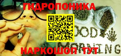 гидропоника Новодвинск